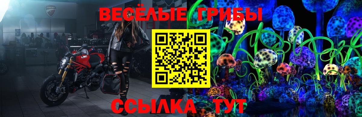 Усолье-Сибирское  Галлюциногенные грибы Psilocybe  Вход с VPN 